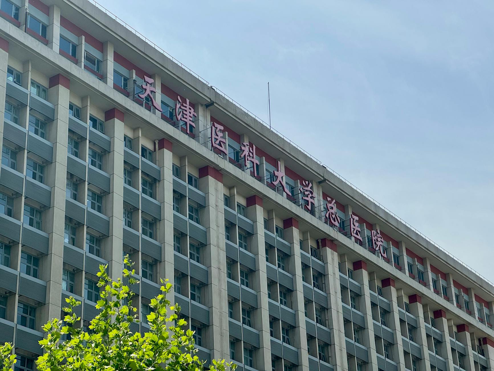 Asbestos Exposure at Sinai-Grace Hospital — Detroit, Michigan: What Hospital Workers and Tradesmen Need to Know